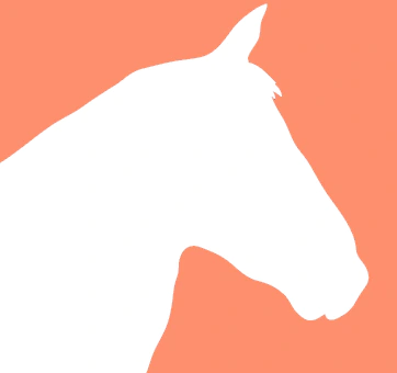 Orange background with a white horse head silhouette