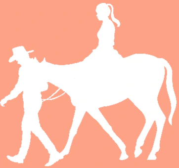 Orange background with a white horse been lead by a man silhouette